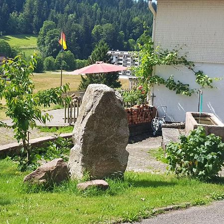 Ferienhof Ziegler- Sonnenschein Baiersbronn Luaran gambar