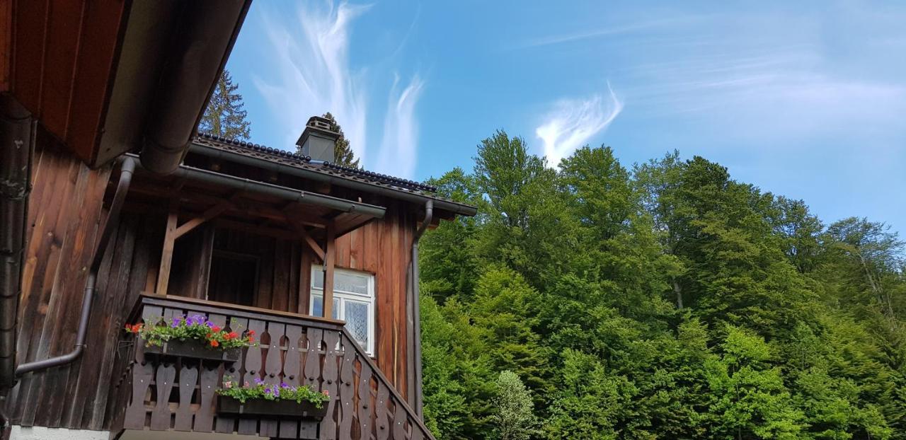 Ferienhof Ziegler- Sonnenschein Baiersbronn Luaran gambar